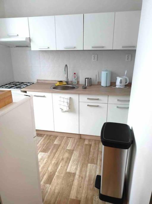 Family Mk Apartment Prag Dış mekan fotoğraf